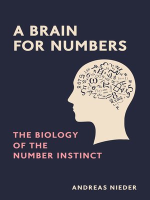 cover image of A Brain for Numbers